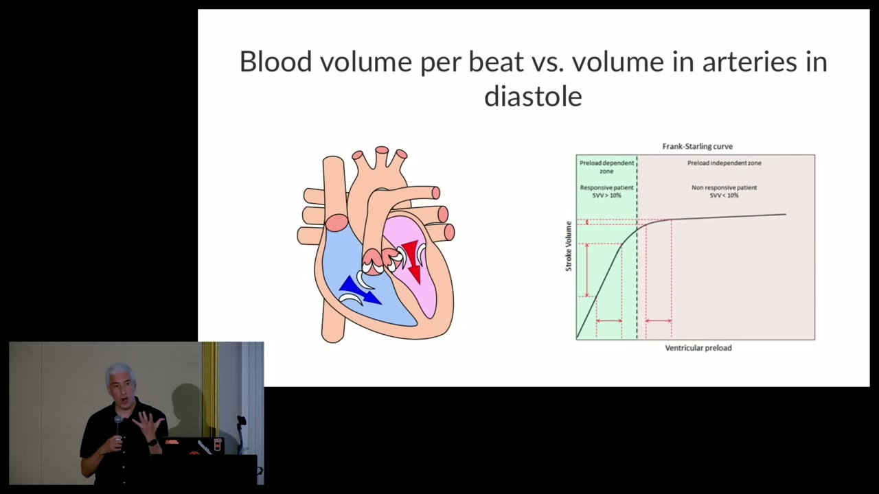 Frank-Starling curve used in the talk as a saturation analogy